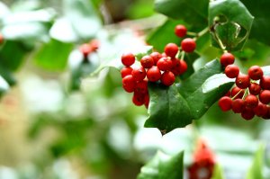 春の植え替え!!